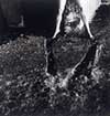 Angel Series, Rome 1977-8