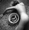 Eel Series, Rome 1977-8