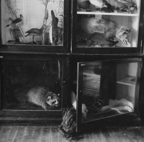 Untitled, Providence Rhode Island, 1976